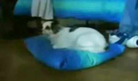 Erótica, masaje, inusual videos pornos ecuatoriano