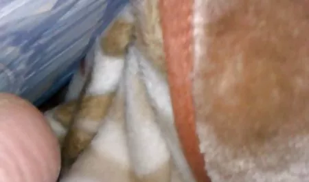 El resto de los videos caseros xxx ecuatorianos pasajeros en el local