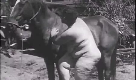 Por tanto la cálida videos caseros de sexo ecuatorianos bienvenida