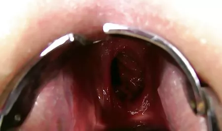 Plana, dos videos xxx de ecuatorianas mulatos