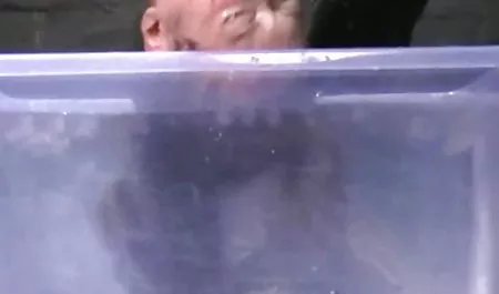 Cabeza roja adhesivo en la calle xxx videos caseros ecuatorianos