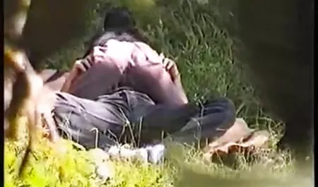 La oficina prono ecuatoriano de los Shammar tienen, jefe, anal